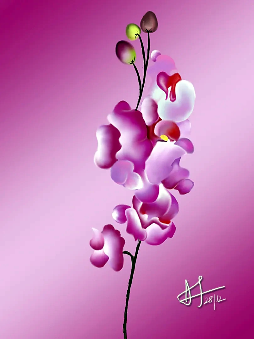 A stem of phalaenopsis orchids, painted in pinks on magenta